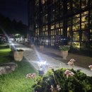 중산문화센터 | 전주 야경 밤산책 중산근린공원 분수공원 수국명소 데이트코스 밤에 갈만한곳 드라이브
