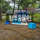 가족나들이 | 청주동물원 가족 나들이 후기, 저렴한 입장료와 넓은 주차장