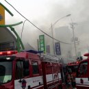 경동야채 이미지