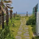 유니의 바다 풀빌라 이미지