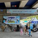 (주)진튜브 | 양재천수영장 찐후기 - 주차, 자리팁, 튜브구명조끼(16개월, 6세 오픈런)