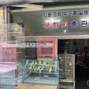 [전주국제영화제 지프지기]해단식까지, 진짜 끝!