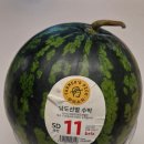 파머후레쉬 | 이마트 수박 할인 14,940원 실화 — 11브릭스 당도선별 수박 득템 꿀팁 + 껍질 처리 무서운 분들 필독🍉