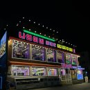 나연이네식당 | 청사포 조개구이 나연이네 애견동반 후기