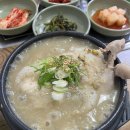 정가네반계탕과오리 | 청주 정가네반계탕과오리 방문기 🍲