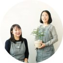 브리스 플랜트