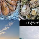 사량도다이빙센타 네이버블로그