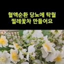 비타민C 풍부하여 혈액순환 당뇨 관절염 불면증등 생리불순 여성질환에도 탁월한 찔레의 특유의 향이 가득한 찔레꽃차 만들어요 이미지