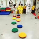 연세키즈태권도 이미지