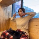 쁘니댕댕 | [경기도][시흥] 이색 데이트, 동물,고양이 카페 ‘댕댕냥냥’