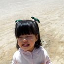 신선초등학교 이미지