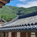 애견동산 네이버블로그