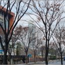 한울어린이집 | 배곧한라비발디 라이프, 배곧한울부동산에서 집 보러 다녀온 현실 후기 🏡✨