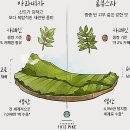 살렌토커피 이미지
