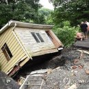 버지니아