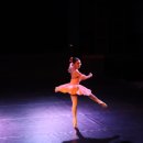 2020 충청북도댄스연맹 무용정기공연 ''세상을 그리는 움직임'' 이미지