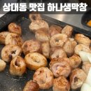 대전 상대동 맛집 막걸리가 무한리필인 하나생막창 후기