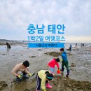 이마트24태안몽산포항점 | [공지] 태안 1박 2일 여행 코스 몽산포해수욕장 펜션 맛조개 쭈꾸미