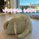 [내돈내산]강아지 이동가방추천 | 니어바이어스 뉴봉봉백 구매후기