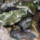 오고생이 이미지