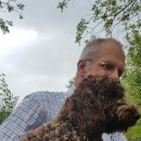 숲속농장 이미지