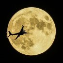 푸른수퍼 이미지