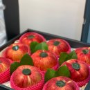 연산부인과의원 이미지