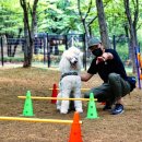 고양공원(관리동화장실) 이미지