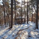 원수산 누리길 이미지