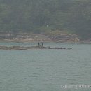 한려수도호 이미지