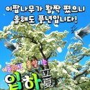 2023년 5월 6일 토요일 아침 행복 편지 (입하) 이미지