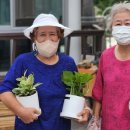 원예테라피 이미지