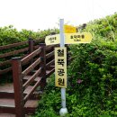 학천3동마을회관 | 고흥 천등산 철쭉/금탑사/활개바위(2026-05-03)