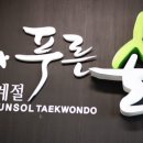 사계절 푸른솔 태권도장 이미지