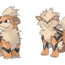 건디윈디 이미지