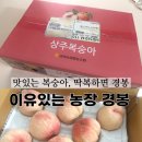 오두농장 | 🍑 열흘 동안 복숭아만 12만 원어치… 이번엔 이유있는 농장 경봉(딱복) 복숭아!