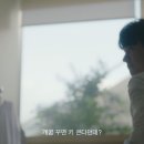 절대사절 이미지
