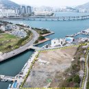 더 다듬 이미지