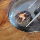 무진장순대국 이미지