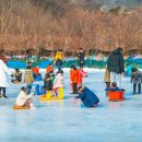 초리넝쿨마을 이미지