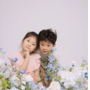 베어스냅 이미지