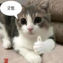 내방 / 꽃밭길] 하나쨩?! 하아잇! 나니가 스키? 초코민또 요리모 .. 첫 키이스케이프 방탈출 리이뷰 !