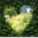 강서하늘치과의원 이미지