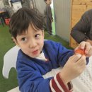 선무태권도 이미지