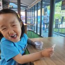 안양어린이보호차 | 안양 아이랑 가볼 만한 곳, 안양생태이야기관 & 안양그린마루 5살 아이와 다녀온 후기