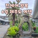 제주도 항공권 진에어 마이리얼트립에서 공홈보다 싸게 예매한 후기