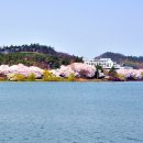 은파호수공원 이미지