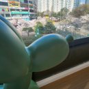 온하루 동물의료센터 이미지