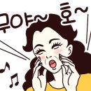 야한족발보쌈 이미지
