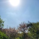 신라헬스크럽 이미지